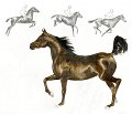 cheval